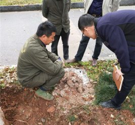 白蟻防治現(xiàn)場