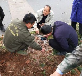 白蟻防治現(xiàn)場